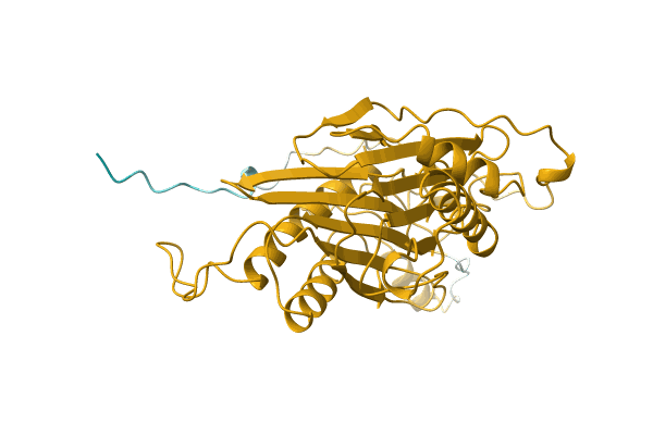 AF-Q1EPR5-F1 image