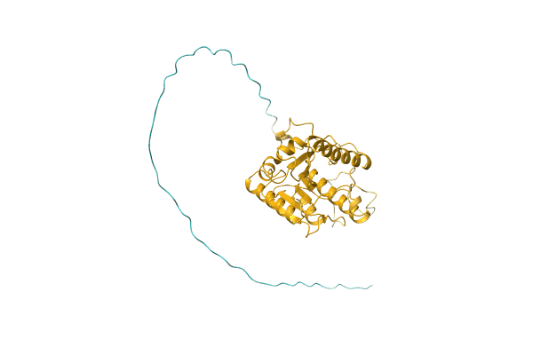 AF-Q1ERH9-F1 image