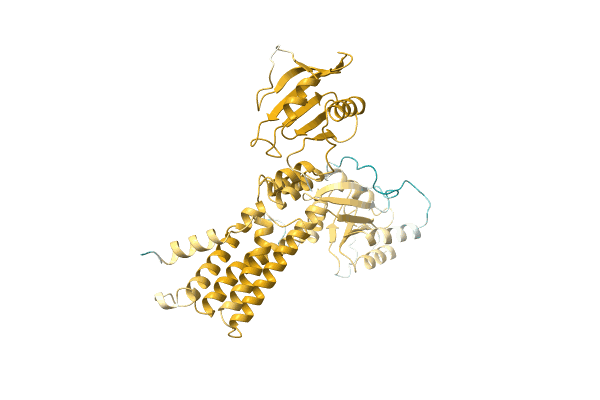 AF-Q1IHC2-F1 image