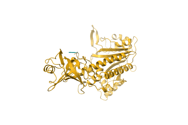 AF-Q1IHQ3-F1 image