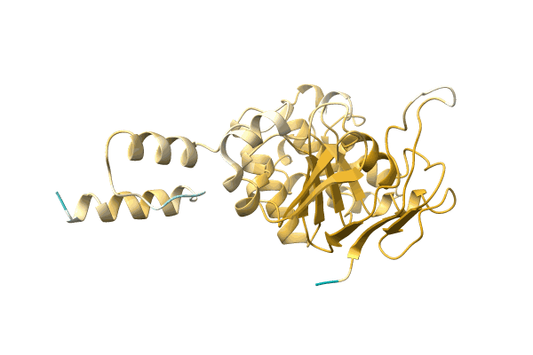 AF-Q1J449-F1 image