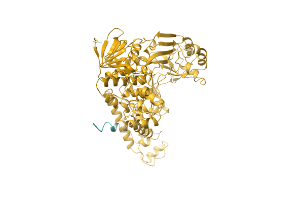 AF-Q1J457-F1 image
