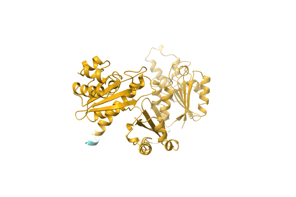 AF-Q1J9C6-F1 image