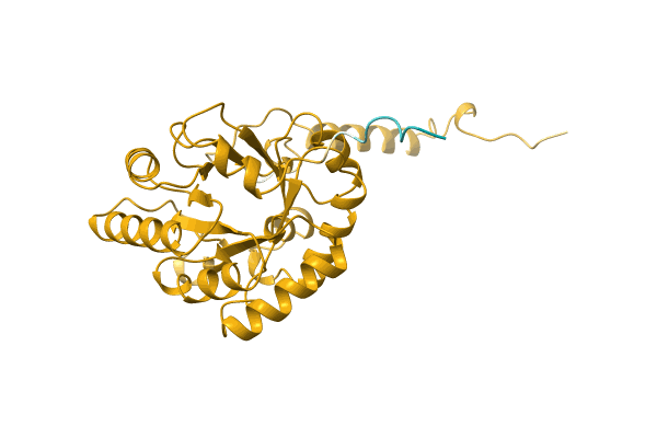 AF-Q1M4A0-F1 image