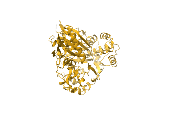 AF-Q1WRE4-F1 image