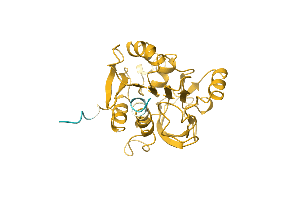AF-Q2J4N0-F1 image