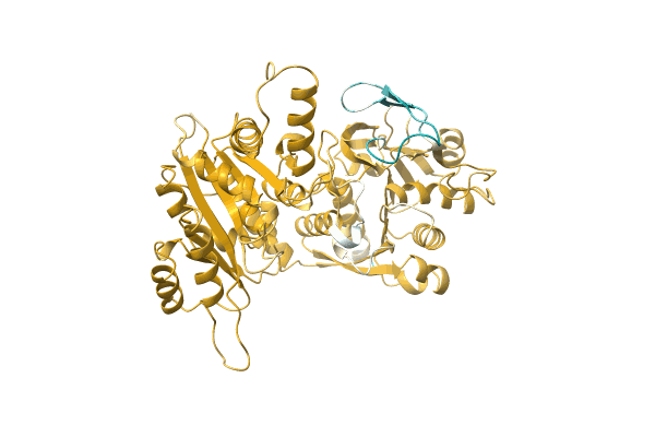 AF-Q30NS7-F1 image