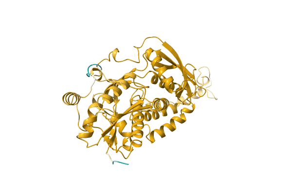 AF-Q3IME2-F1 image