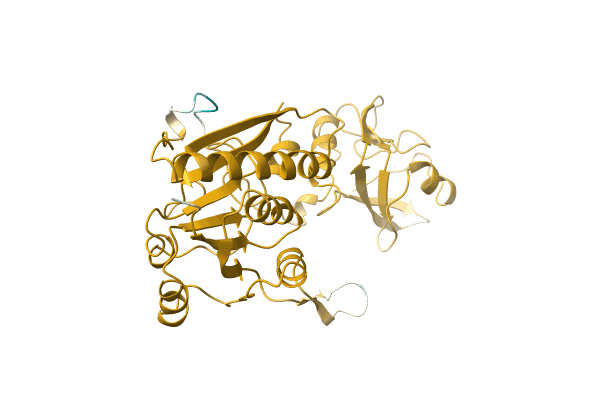 AF-Q3SN28-F1 image