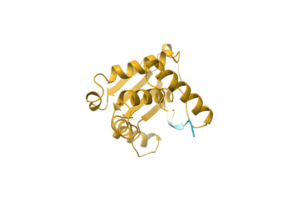 AF-Q3YQP7-F1 image
