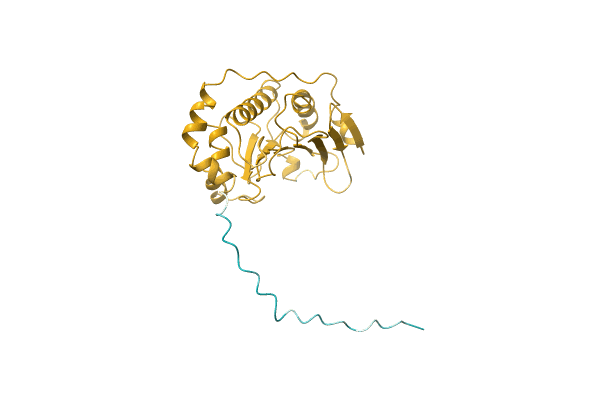 AF-Q3YTY3-F1 image