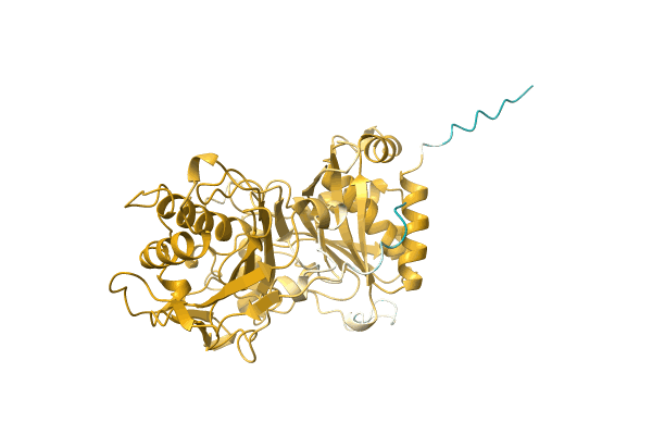 AF-Q3ZPN4-F1 image