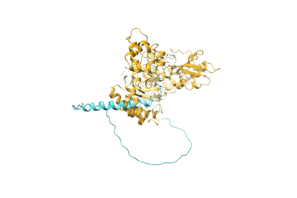 AF-Q41407-F1 image