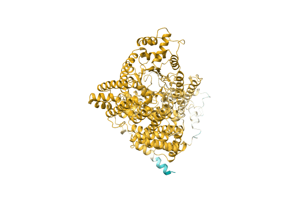 AF-Q43299-F1 image