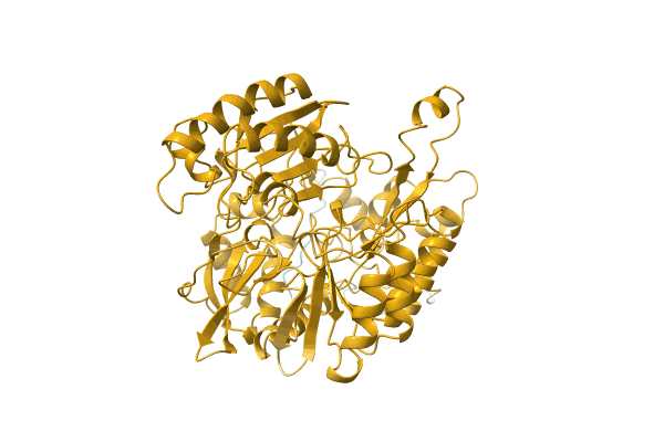 AF-Q49UL9-F1 image