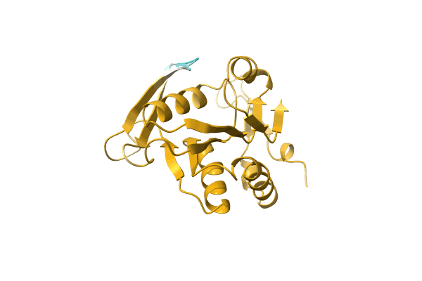 AF-Q4A577-F1 image