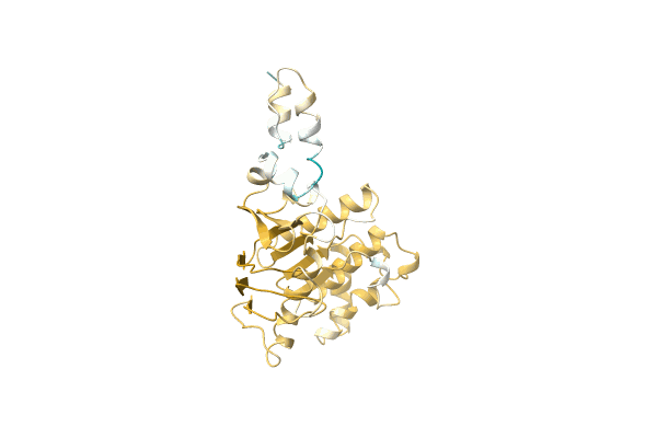 AF-Q4A5A5-F1 image
