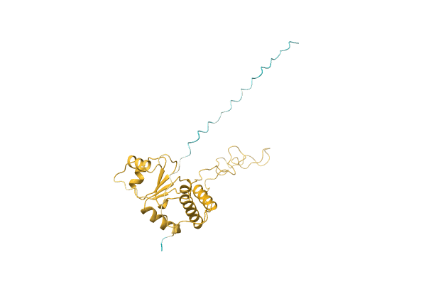 AF-Q4A5C2-F1 image