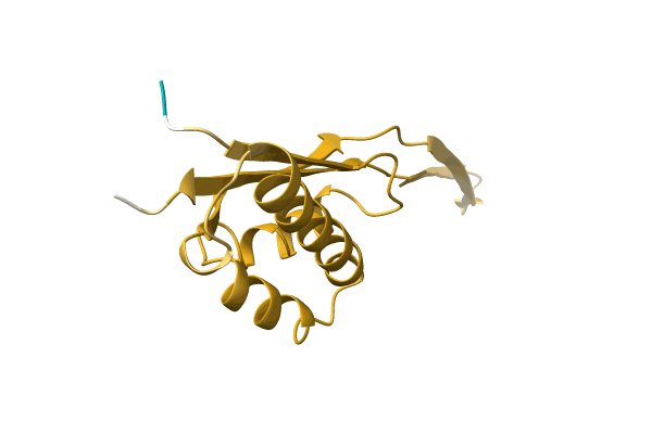 AF-Q4A5C6-F1 image