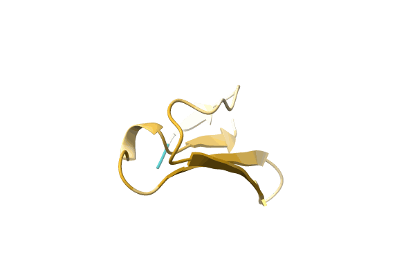 AF-Q4MYA8-F1 image