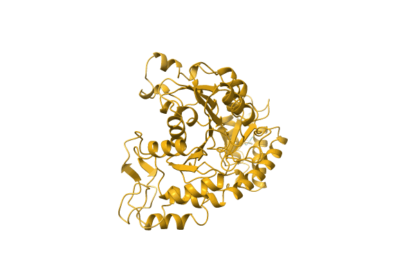 AF-Q4R0W2-F1 image