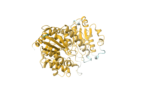 AF-Q4R1I9-F1 image