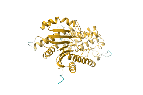 AF-Q4U5S1-F1 image