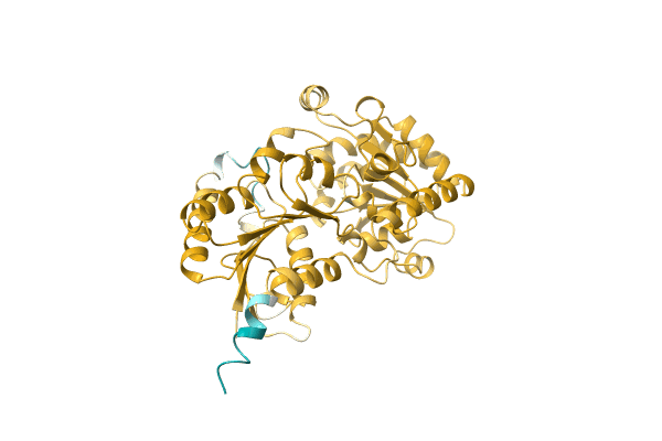 AF-Q4UJN0-F1 image