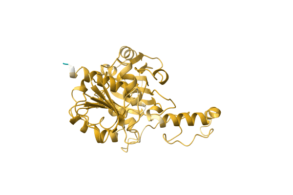 AF-Q53612-F1 image