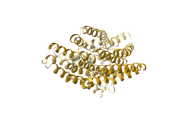 AF-Q576B5-F1 image
