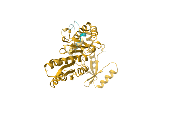 AF-Q58GZ7-F1 image