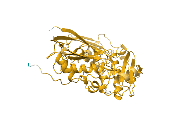 AF-Q5DNB1-F1 image