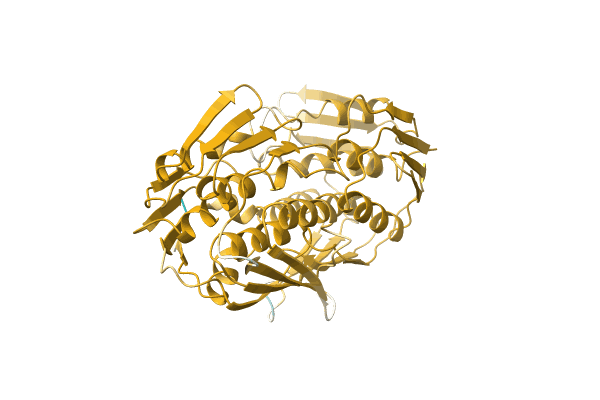 AF-Q5GRP6-F1 image