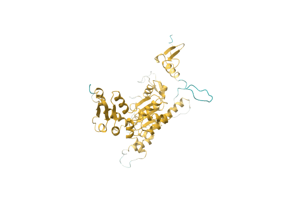 AF-Q5L4W6-F1 image