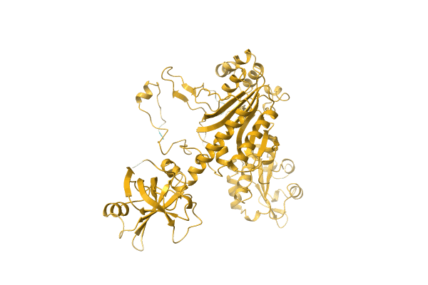 AF-Q5LXN1-F1 image