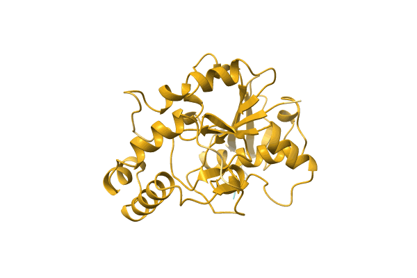 AF-Q5LXN3-F1 image
