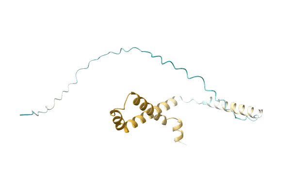 AF-Q5QT59-F1 image