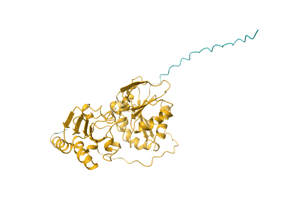 AF-Q5Y223-F1 image