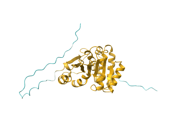 AF-Q5YMS1-F1 image