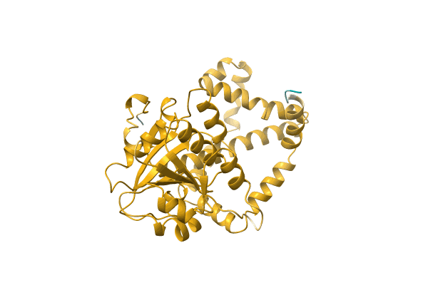 AF-Q64BR7-F1 image