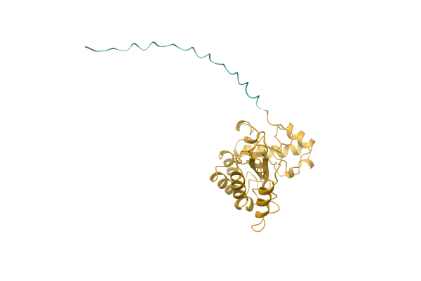 AF-Q6DWK3-F1 image