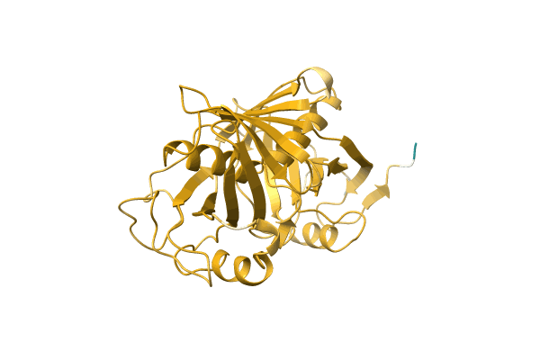 AF-Q6FYC7-F1 image