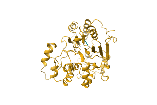 AF-Q6L5S6-F1 image
