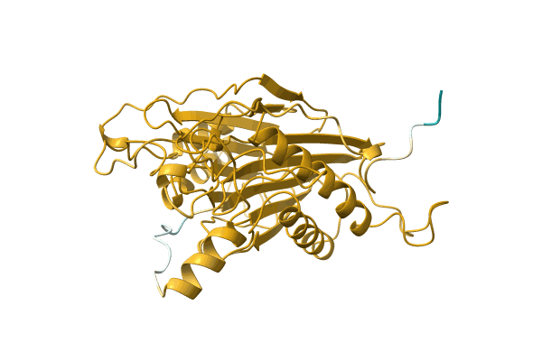 AF-Q79F77-F1 image