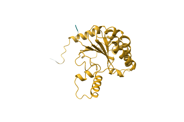 AF-Q7PBU9-F1 image