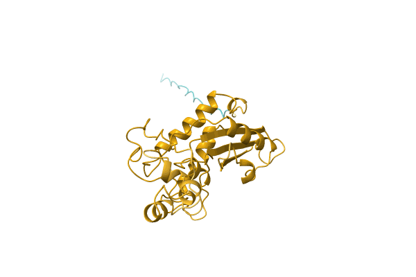 AF-Q7ZTA0-F1 image