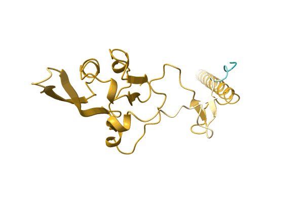 AF-Q8HVL6-F1 image