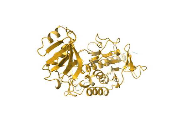 AF-Q8J0U0-F1 image