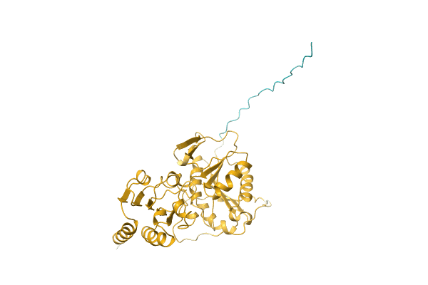 AF-Q8J112-F1 image
