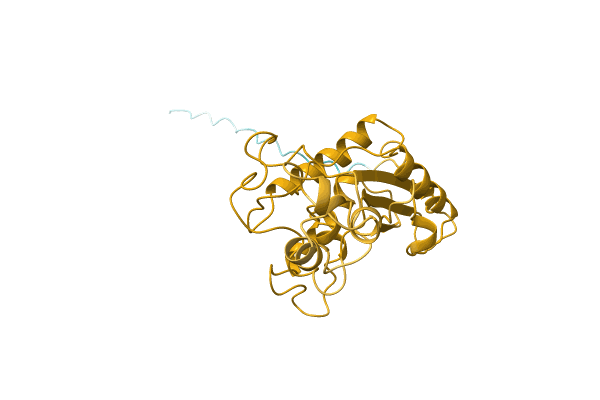 AF-Q8JI40-F1 image